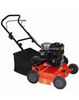 DORI 38T 2.4HP Triunfo Petrol Scarifier