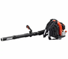 Echo PB-580 Backpack Leaf Blower