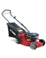 Sanli LSR42 42cm Push Petrol Rear Roller Lawn mower