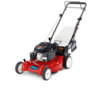 Toro 29639 50cm Self Propelled Recycler Lawn mower