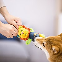 Peluches Jouet interactif Jouet pour Chien Jouet pour chien Jouet qui couine Chien Compatible avec animaux de compagnie Exercice pour animaux de compagnie Relâcher la pression Tissu Pelouche Cadeau miniinthebox