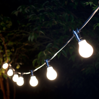 10M Weatherproof Warm White LED Black Festoon Lighting Kit - 10 Lights
