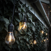 5M Connectable Heavy Duty Hanging Festoon Lights - 10 Black Bulb Holders