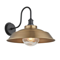 Industville Swan Neck 16 Inch Dome IP65 Wall Light - Brass & Pewter