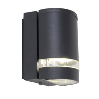 Lutec Focus Outdoor Wall Light - Dark Grey