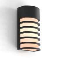 Lutec Fulton Outdoor Flush Wall Light - Black