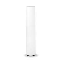 Ovoid 100 LED Outdoor Feature Floor Light