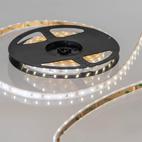 Tagra Syndeo 12V 24W Warm White IP65 60 LED Tape - 5 Metre