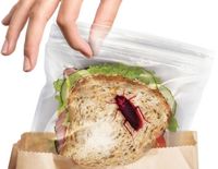 Lunch Bugs