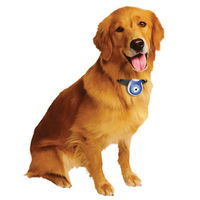 Pets Eye View Camera