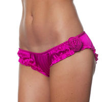 Silk Cortage Brief