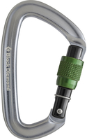 Black Diamond Positron Screwgate Carabiner