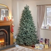 Louise Blue-Green Fir Luxury Premium PE Christmas Tree