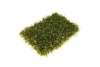 Artificial Grass (Prestige) 2m x 5m (EXTRA 2-3 DAYS FOR DELIVERY)