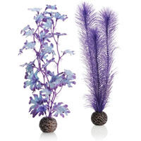 BiOrb Kelp SET (Medium Purple)