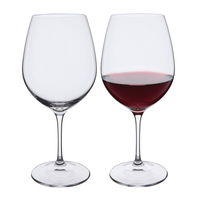 Dartington Freehand Engraved - Wine Master Burgundy Red Wine Pair