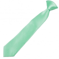 Plain Mint Clip On Tie