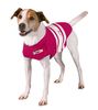 Thundershirt Anxiety Relief Jacket-Pink-Medium (18-26 Inches)