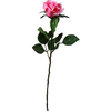 Single Stem Half Open Rose - Deep Pink