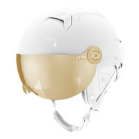 Dainese V-Jet Lens 2015 Helmet Lens in Amber