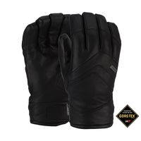 Pow 2015 Mens Stealth GTX Glove in Black
