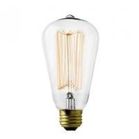 Vintage ES 60w Light Bulb