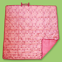 Close Pop-in Pink Owl Playmat