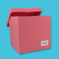 Minene Storage Cube Red Check