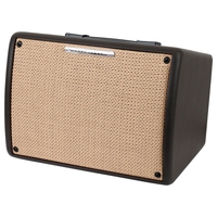 Ibanez Troubadour T30-II Acoustic Combo