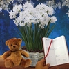 Paperwhite Daffodils in Ornate basket + Cuddly Bear plus Diary