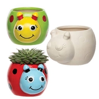 Ladybird Ceramic Flowerpots (Pack of 4) Nature Craft Kits