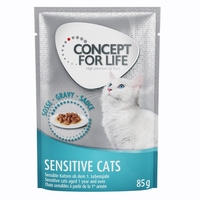 48 x 85g Concept for Life Wet Cat Food - 36 + 12 Free!* - All Cats – in Gravy
