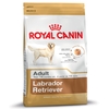 Large Bags Royal Canin Breed Dry Dog Food + 2 or 2.5kg Free!* - Labrador Retriever Adult (12+2kg Free)