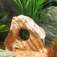 Rainbow Rock with one Archway Aquarium Decoration - 1 Stone Large approx. 18 x 1