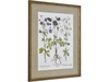Meadow Flowers One by Morgan Yamada - Framed Print