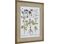 Meadow Flowers One by Morgan Yamada - Framed Print