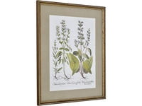 Meadow Flowers Two by Morgan Yamada - Framed Print