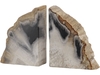 Meso Petrified Wood Book Ends