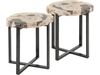 Meso Petrified Wood Coffee Tables - Set of 2