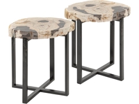 Meso Petrified Wood Coffee Tables - Set of 2