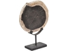 Meso Petrified Wood Display Ornament on Iron Stand - Large
