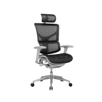 Ergonomic Mesh Office Chair With Headrest,  Black