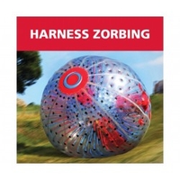 Red Letter Days Harness Zorbing