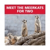 Red Letter Days Meet The Meerkats for Two