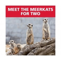 Red Letter Days Meet The Meerkats for Two