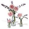 Magic Vases - 2 Large 2 Medium 4 Small