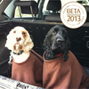 Microfibre Doggy Bag