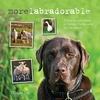 More Labradorable
