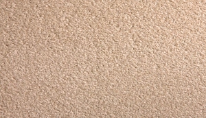 Stainfree Tonals Carpet