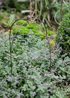 Barrington Domed Small Plant Support Aged Metal